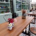 Tree Tales Cafe Preview